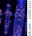 金魚 132811222