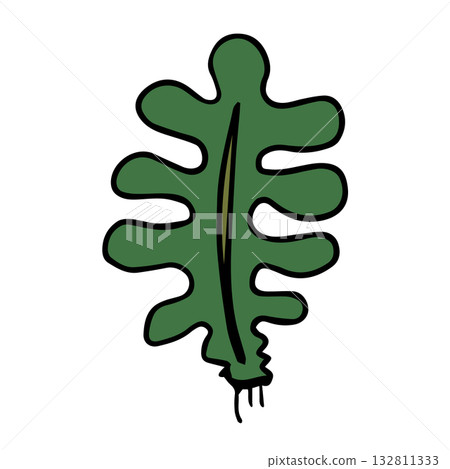 裙帶菜海藻插圖，手繪，簡單的食物輪廓 132811333