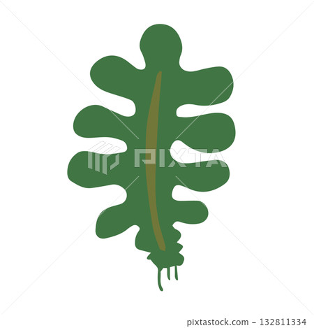 Wakame illustration hand-drawn simple food_no outline 132811334