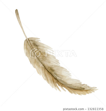 Dry Pampas Grass. Neutral Beige autumn winter herb plant. Watercolor hand drawn floral illustration isolated on white background for fall wedding design print card cosmetic package porcelain crockery 132811358