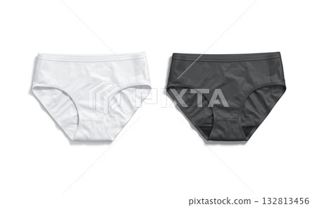 Blank black and white women briefs underwear mockup, isolated Blank black and white women briefs underwear mockup, isolated 132813456