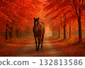 Autumn scenery of a horse walking along a road with autumn leaves 132813586