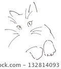 Simple and stylish line drawing of a cat 132814093
