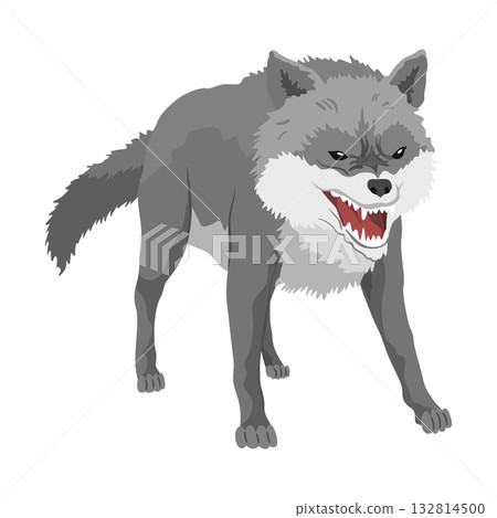 Gray wolf. A predatory beast. Wild forest animal. Vector hand drawn vintage old sketch for stamp, t-shirt or typography or badge 132814500