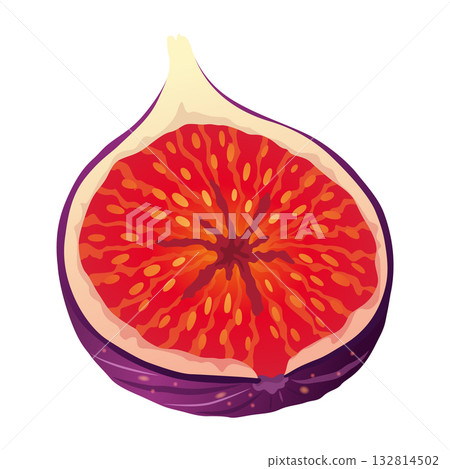 Fig Fruit Cut with Thin Skin and Many Small Seeds Inside Vector Fig Fruit Cut with Thin Skin and Many Small Seeds Inside Vector 132814502