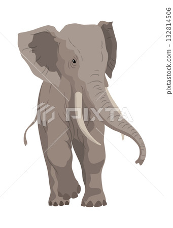 Flat vector elephant in poses African of Asian animal with large ears and long trunk. Wildlife theme Flat vector elephant in poses African of Asian animal with large ears and long trunk. Wildlife theme 132814506