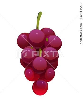 Cartoon bunch of ripe purple grapes with glossy round berries and green stem. Isolated vector autumn fall season fruit, healthy food, ingredient for wine making, seasonal vitamins, grape cluster 132814556