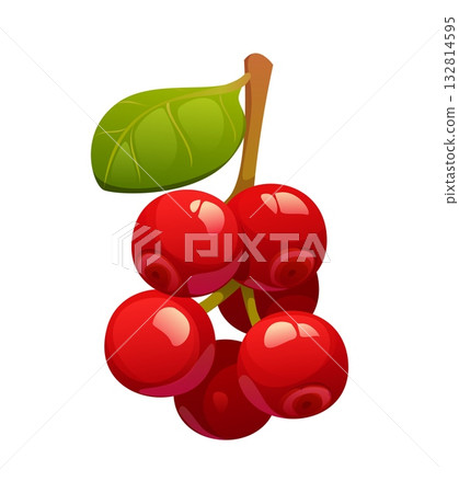 Cartoon ripe cowberry, red glossy berries with smooth surface, grouped in small bunch and attached to stem with green leaf. Isolated vector wild forest bilberry, whortleberry, foxberry or huckleberry 132814595
