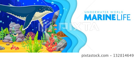 Paper cut underwater landscape banner with big blue whale, sea turtle and crab animals and fishes swim amidst vibrant coral reef. 3d vector layered papercut frame with cartoon ocean life biodiversity Paper cut underwater landscape banner with big blue whale, sea turtle and crab animals and fishes swim amidst vibrant coral reef. 3d vector layered papercut frame with cartoon ocean life biodiversity 132814649