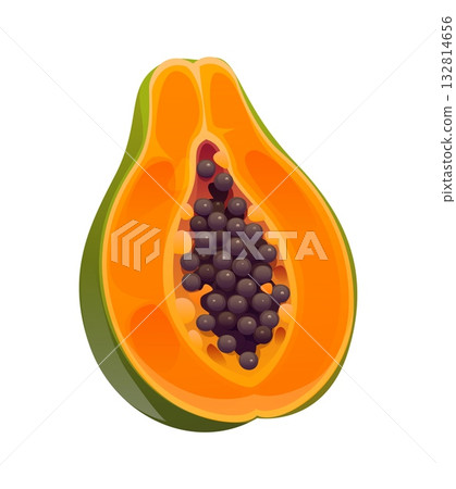 Cartoon tropical ripe raw halved papaya fruit with orange flesh, clustered black seeds, smooth skin and juicy texture. Exotic healthy fruit rich in vitamins, enzymes and antioxidants, healthy eating Cartoon tropical ripe raw halved papaya fruit with orange flesh, clustered black seeds, smooth skin and juicy texture. Exotic healthy fruit rich in vitamins, enzymes and antioxidants, healthy eating 132814656