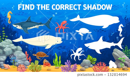 Find the correct shadow of ocean animals kids game worksheet. Educational underwater riddle with cartoon marine shark, octopus, beluga whale, sea turtle, seahorse and coral reef. Fun ocean puzzle quiz Find the correct shadow of ocean animals kids game worksheet. Educational underwater riddle with cartoon marine shark, octopus, beluga whale, sea turtle, seahorse and coral reef. Fun ocean puzzle quiz 132814694