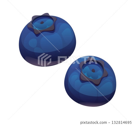 Cartoon two ripe blueberries. Isolated vector plump and round berries for healthy food and dessert cooking. Wild or garden planVt with a smooth, glossy surface and crown like calyx on top Cartoon two ripe blueberries. Isolated vector plump and round berries for healthy food and dessert cooking. Wild or garden planVt with a smooth, glossy surface and crown like calyx on top 132814695