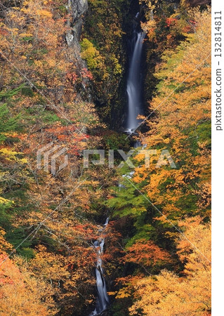 Autumn leaves of Matsukawa Valley Yaba fall Autumn leaves of Matsukawa Valley Yaba fall 132814811