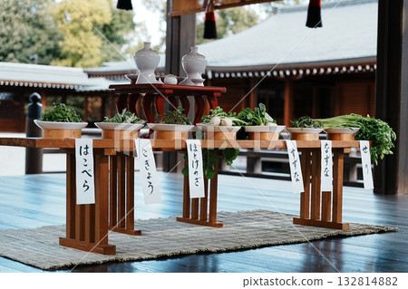 七種春天的草藥 七種春天的草藥 132814882