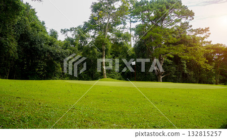 Green grass and woods on a golf field. View of Golf Course with beautiful putting green. 132815257