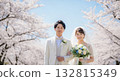 A wedding couple blessed by the spring breeze and cherry blossoms A wedding couple blessed by the spring breeze and cherry blossoms 132815349
