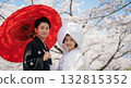 Spring in full bloom: a bride in a white kimono and cherry blossoms in full bloom Spring in full bloom: a bride in a white kimono and cherry blossoms in full bloom 132815352