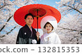 Spring in full bloom: a bride in a white kimono and cherry blossoms in full bloom Spring in full bloom: a bride in a white kimono and cherry blossoms in full bloom 132815353