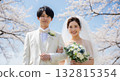 A wedding couple blessed by the spring breeze and cherry blossoms A wedding couple blessed by the spring breeze and cherry blossoms 132815354