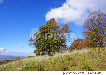 秋季的丸鹿高原展望台 132815858