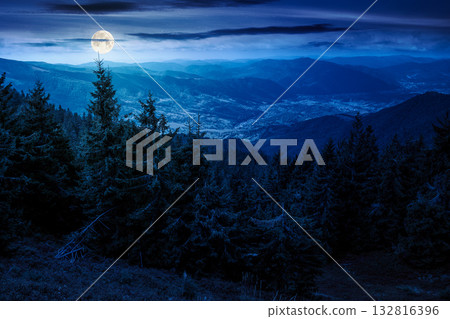 coniferous forest in mountain landscape at night. scenic place in national park in full moon light. panoramic view of valley and lush green slope. background image for investment or abstract concepts 132816396