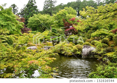 Uji City: Pond and fresh greenery at Mimuroto Temple Garden Uji City: Pond and fresh greenery at Mimuroto Temple Garden 132816544