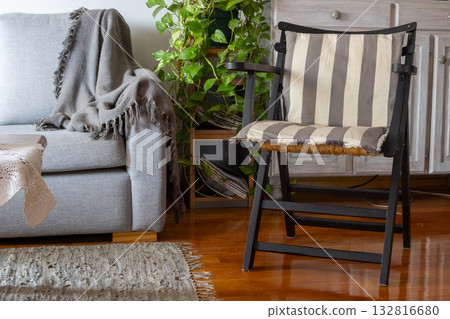 Living room interior featuring a comfortable sofa, striped armchair, green houseplants, and home decor 132816680