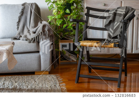 Cozy living room corner with rustic chair and plant. Natural light. Horizontal real picture 132816683