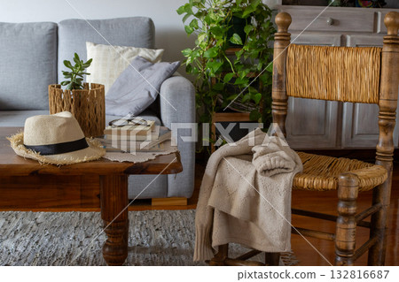 A contemporary living room with straw hat and plants. Cute winter scene. Ideal for design projects A contemporary living room with straw hat and plants. Cute winter scene. Ideal for design projects 132816687