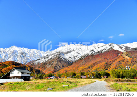 從白馬村眺望五龍山和白馬八方尾根滑雪場（長野縣白馬村）[2025年11月] 132817260