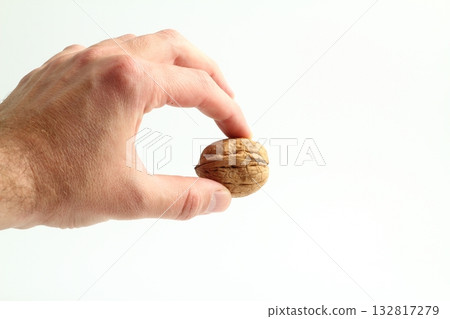 walnuts food nut in hand on white background isolation walnuts food nut in hand on white background isolation 132817279