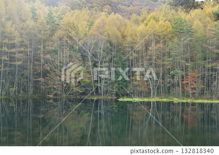 Mishaka Pond with autumn leaves 132818340
