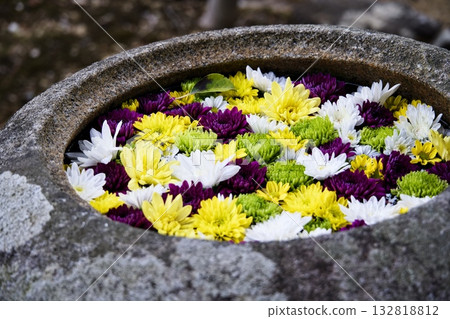 Colorful flowers floating on water Colorful flowers floating on water 132818812