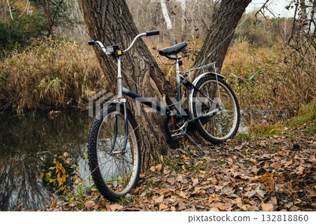 old bicycle leaning against a tree trunk by the water in autumn old bicycle leaning against a tree trunk by the water in autumn 132818860
