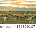 Shepherd with flock of sheep and guard dog at sunset rural scene 132819187
