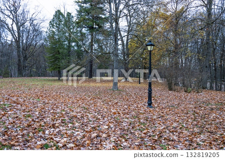 Empty Park Landscape of Brown Leaves, Leafless Trees, and Vintage Style Lamppost Empty Park Landscape of Brown Leaves, Leafless Trees, and Vintage Style Lamppost 132819205