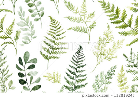 A variety of green ferns and leaves, showcasing diverse shapes and textures, displaying lush vitality. 132819245