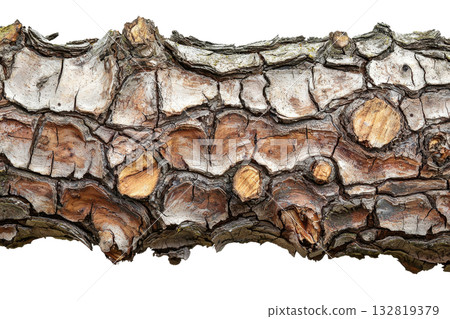 Detailed wooden bark with intricate textures and natural colors showcasing earthy tones and unique patterns. 132819379