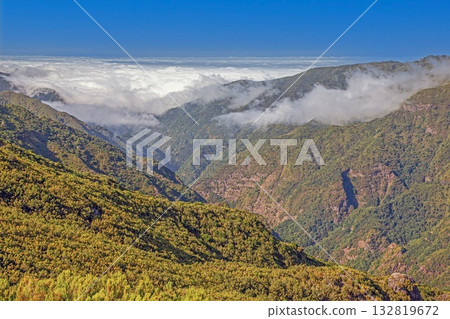 Atlantic view with coastal vegetation Madeira Atlantic view with coastal vegetation Madeira 132819672
