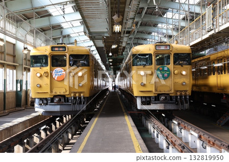 115 series train 132819950