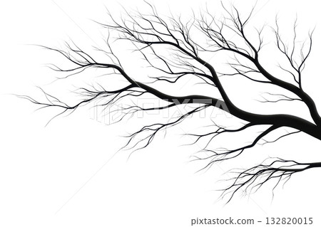 A dark, skeletal tree branch extends outward, showcasing intricate patterns of twisted and bare limbs. 132820015