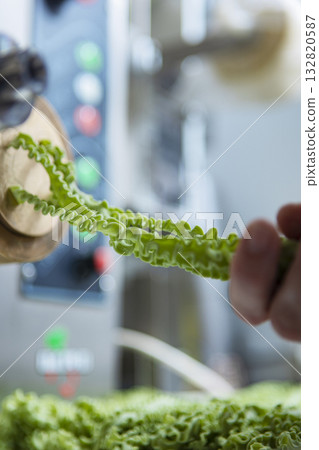 Pasta cooking process. Fresh pasta. Green food coloring. Small pasta production. Pasta cooking process. Fresh pasta. Green food coloring. Small pasta production. 132820587