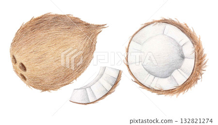 Coconut watercolor and colored pencil illustration 132821274
