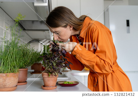 Female gardener in kitchen holding potted basil in hands smelling fresh aroma, touching herb foliage Female gardener in kitchen holding potted basil in hands smelling fresh aroma, touching herb foliage 132821432