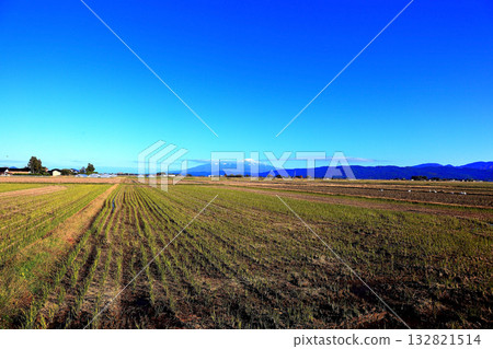 莊內平原下個月的稻田風光 132821514