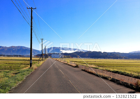 Rice field scenery in Shimotsuki, Shonai Plain 132821522