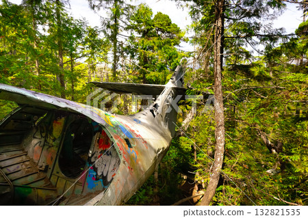 Canso bomber plane crash site in the summer rainforest. Canso bomber plane crash site in the summer rainforest. 132821535