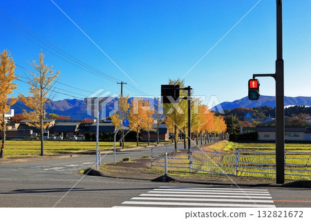 A morning in Shimotsuki, a row of poplar trees A morning in Shimotsuki, a row of poplar trees 132821672