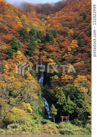 最上川遊船賞秋葉白絲瀑布 最上川遊船賞秋葉白絲瀑布 132822099