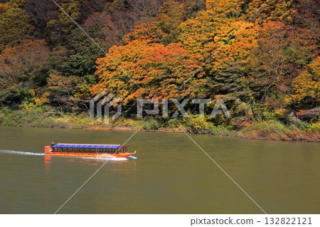 最上川遊船賞秋葉 最上川遊船賞秋葉 132822121